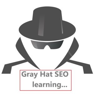 آموزش سئو خاکستری (فوق حرفه ای)